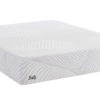 Sealy Treat Memory Foam Cushion Firm Mattress - Mr. Mattress